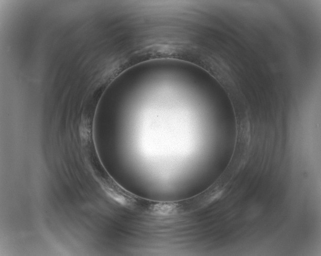 X0000081620135200701151441