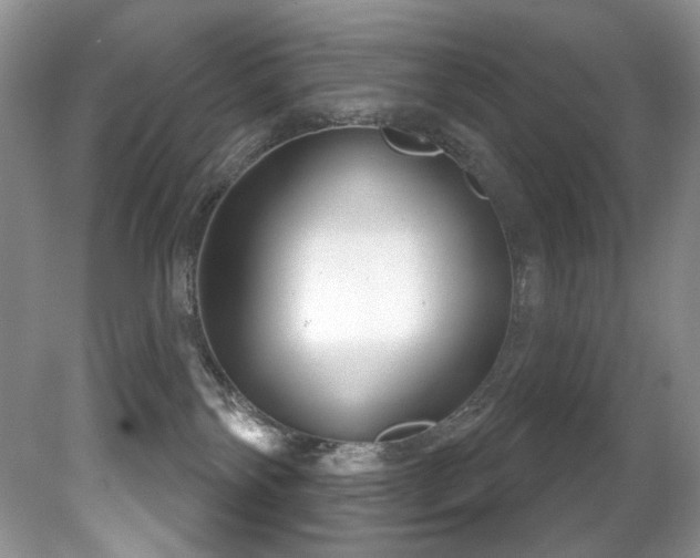 X0000081620138200701151441