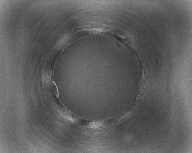X0000081620139200701151441