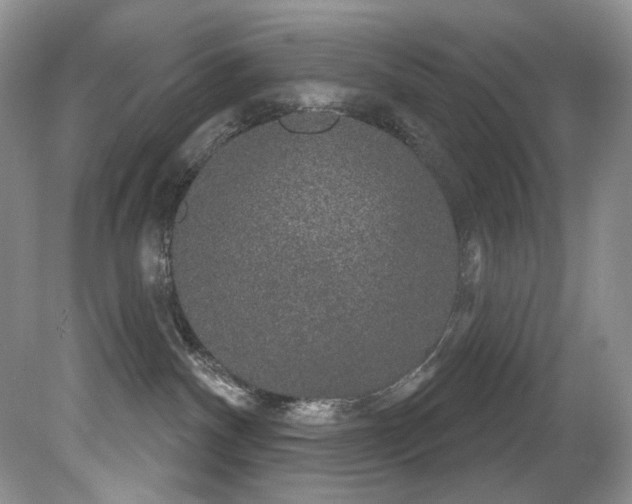 X0000081620140200701151441