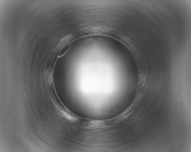 X0000081620142200701151441