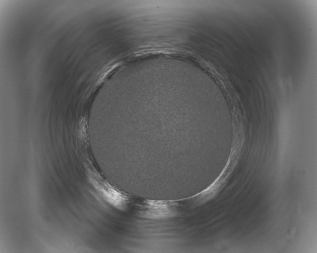 X0000081620144200701151441