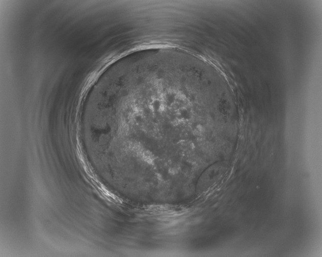 X0000081620145200701151440