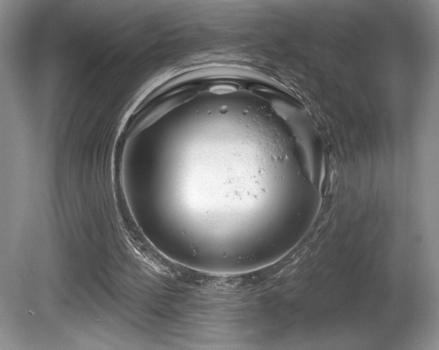 X0000081620148200701151440