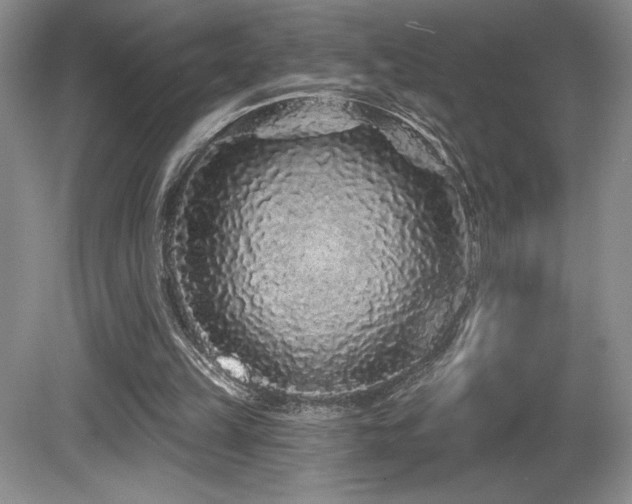 X0000081620149200701151440