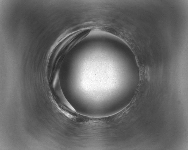 X0000081620150200701151440