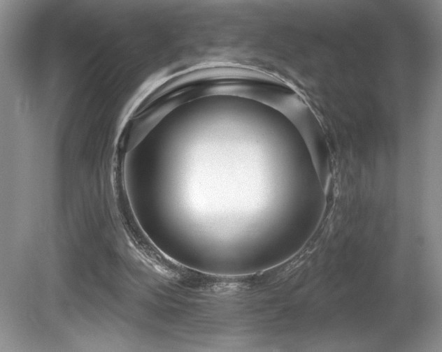 X0000081620152200701151440