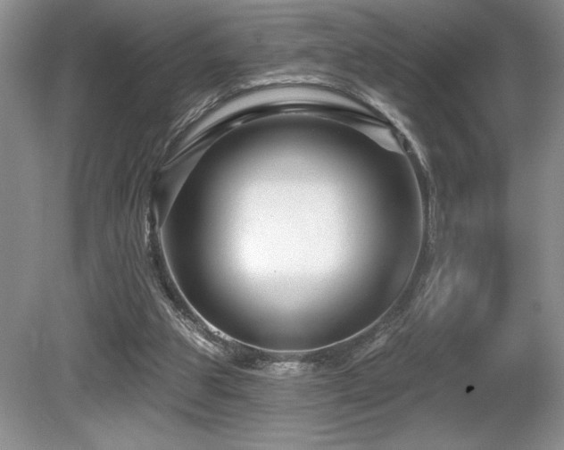 X0000081620153200701151440