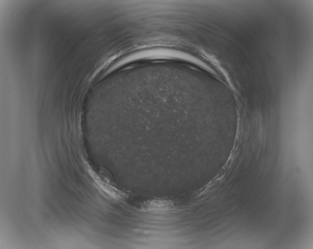 X0000081620154200701151440