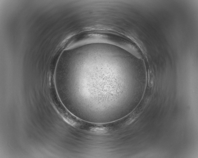 X0000081620157200701151440
