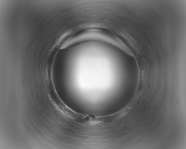 X0000081620158200701151440