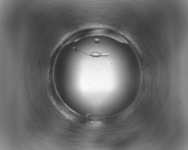 X0000081620159200701151441