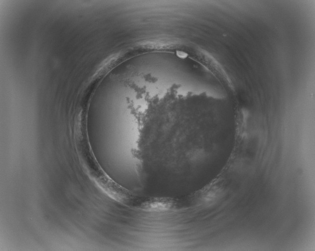 X0000081620163200701151441