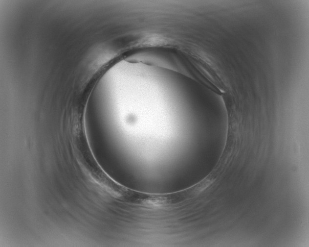 X0000081620164200701151441