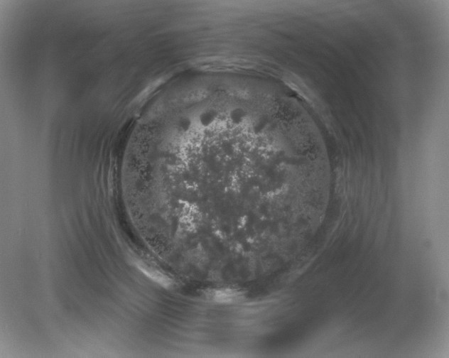 X0000081620165200701151441