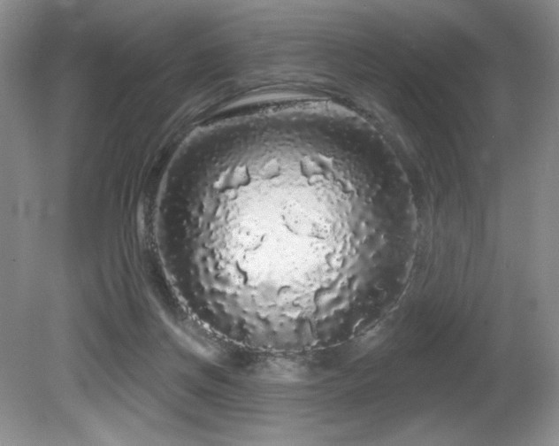 X0000081620166200701151441