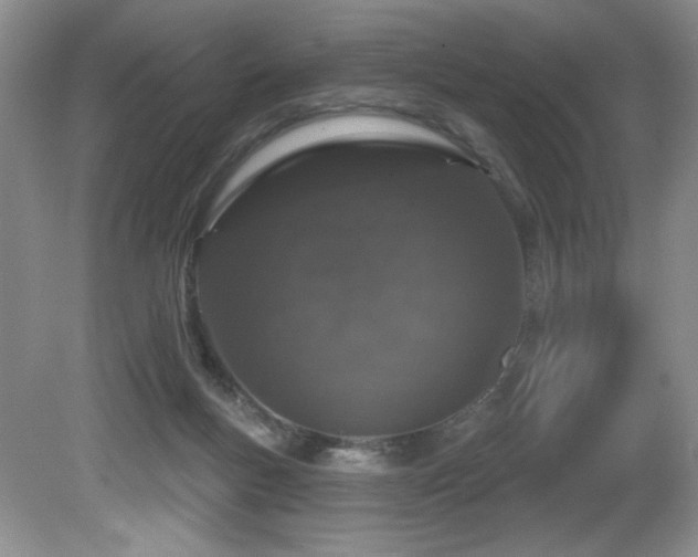 X0000081620167200701151441