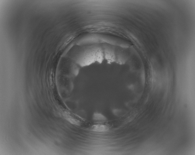 X0000081620169200701151441