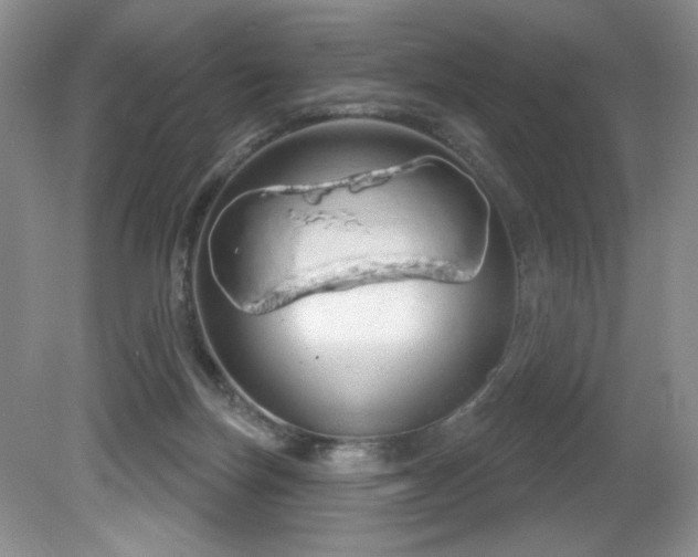 X0000081620171200701151441