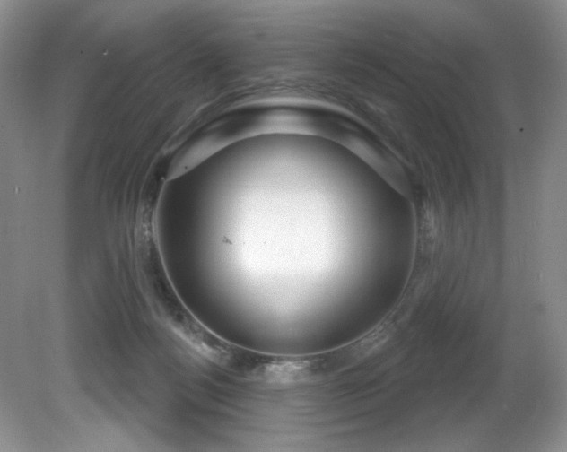 X0000081620172200701151441