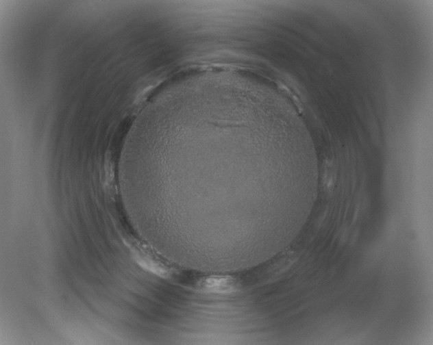 X0000081620173200701151441
