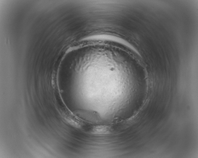 X0000081620175200701151441