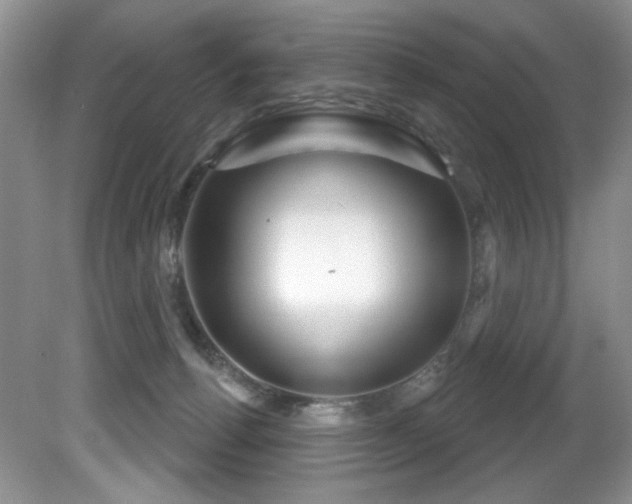 X0000081620176200701151441
