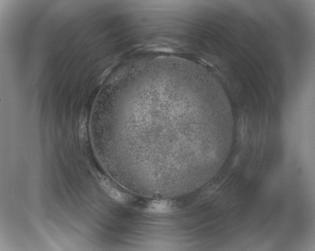 X0000081620177200701151441