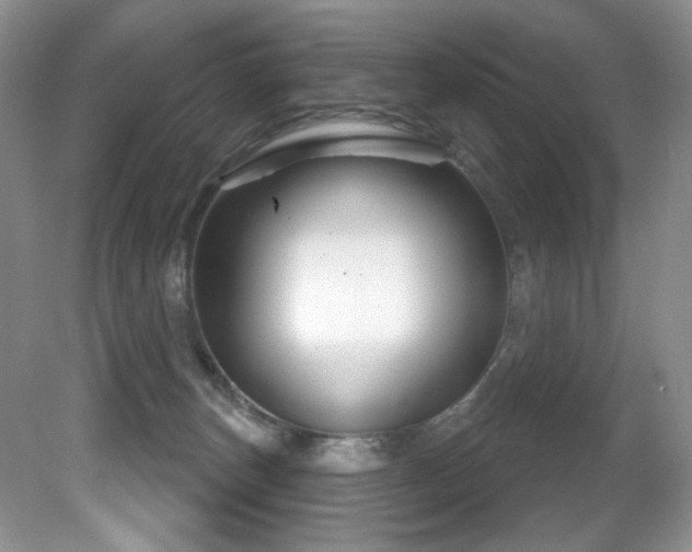 X0000081620179200701151441