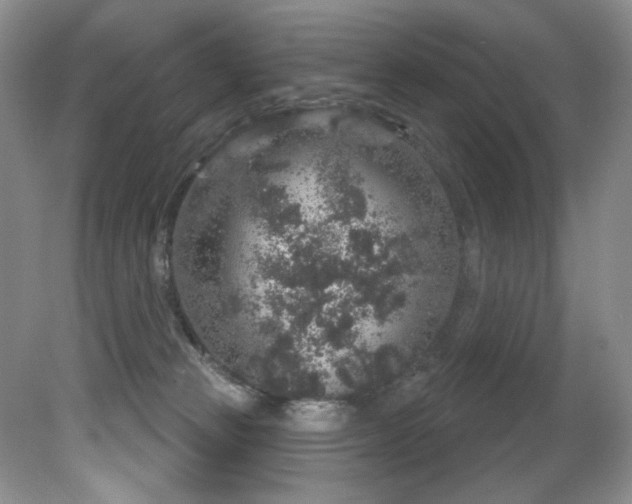 X0000081620181200701151441