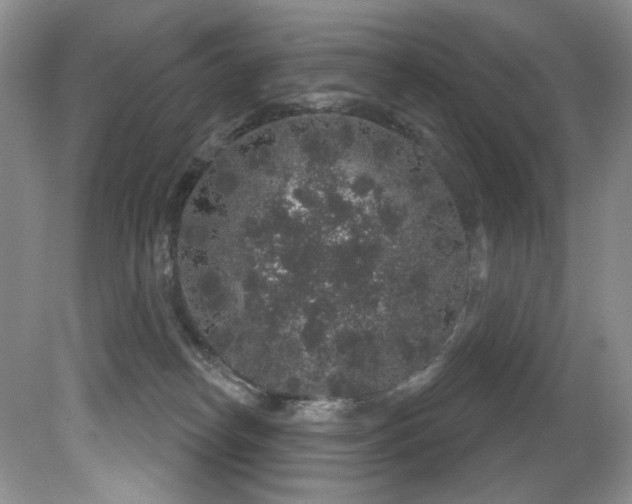 X0000081620182200701151441
