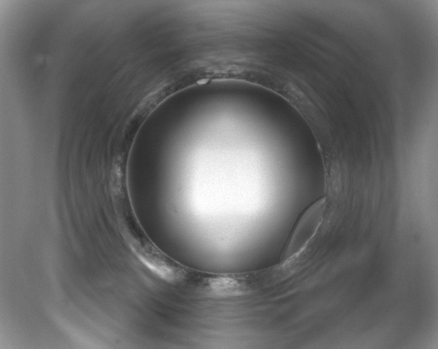 X0000081620183200701151441