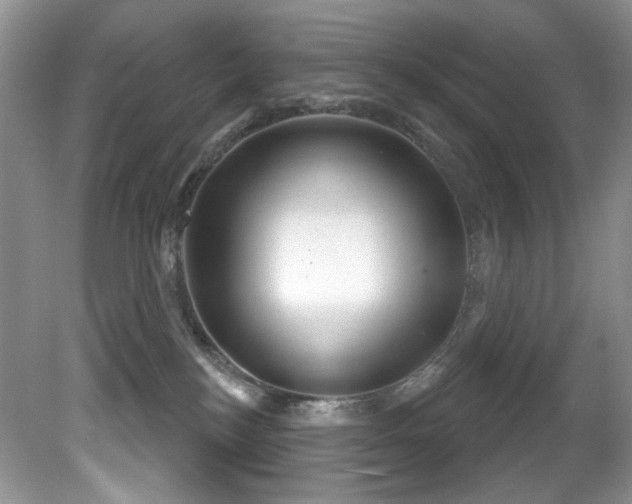 X0000081620184200701151441