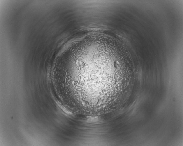 X0000081620185200701151441