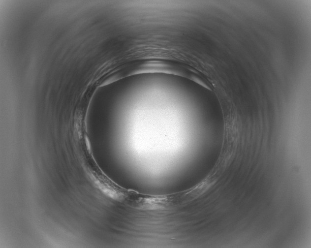 X0000081620188200701151441