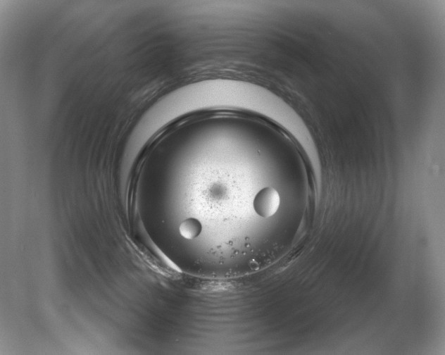 X0000081620189200701151441