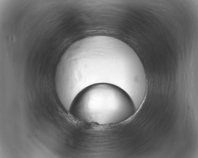X0000081620190200701151441