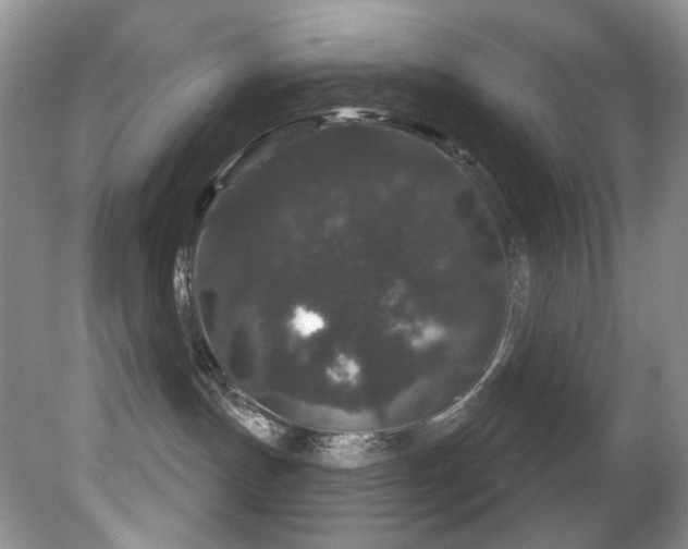 X0000081620191200701151441