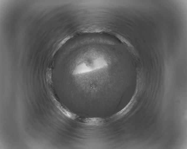 X0000081620192200701151441