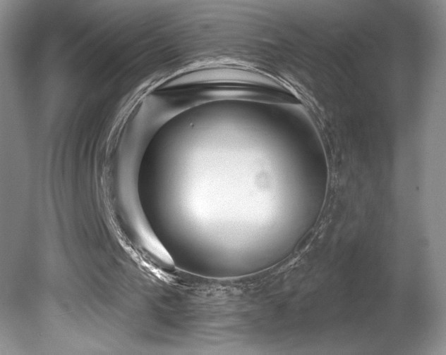 X0000081620193200701151440