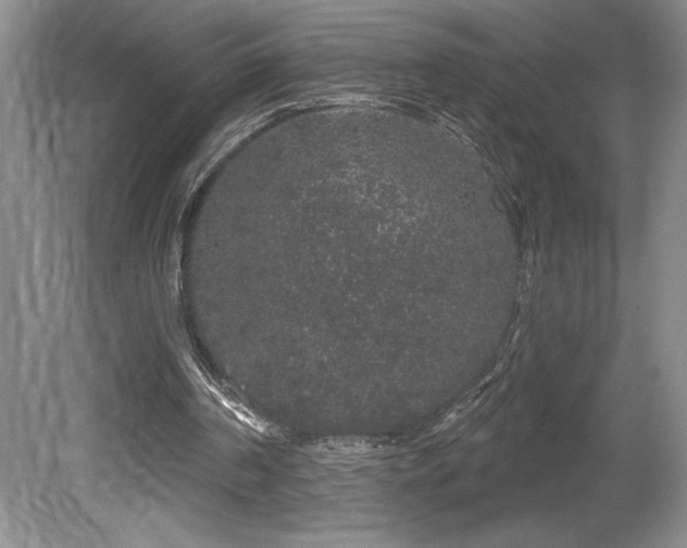 X0000081620194200701151440