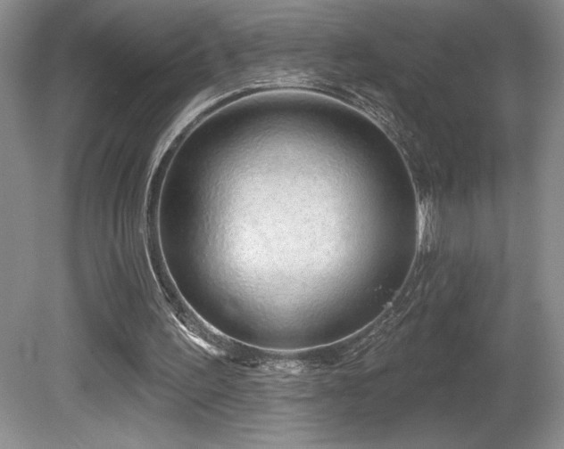 X0000081620195200701151440