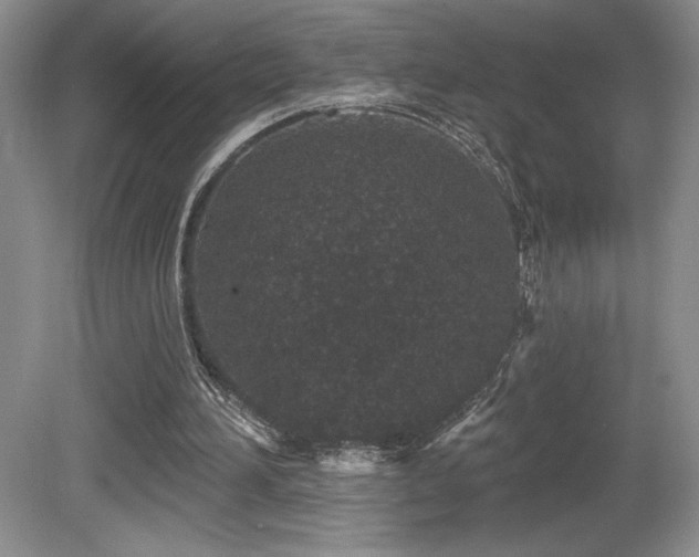 X0000081620196200701151440