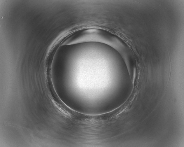 X0000081620197200701151440