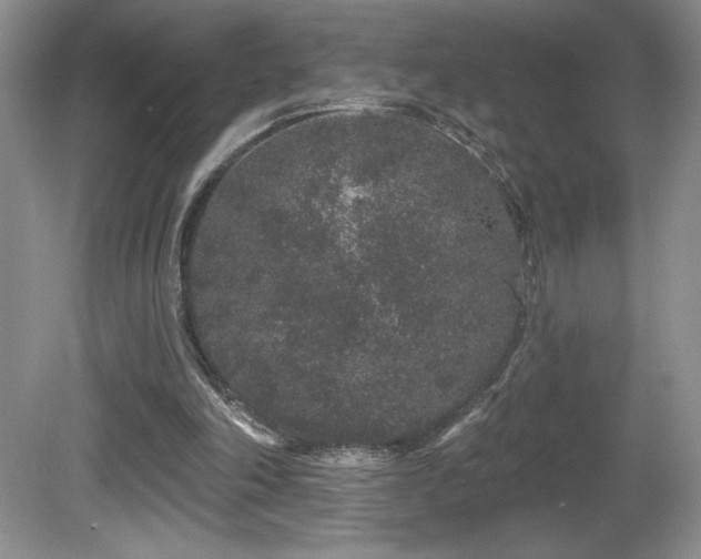 X0000081620198200701151440