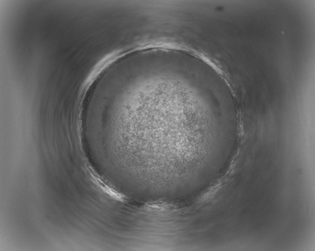 X0000081620199200701151440