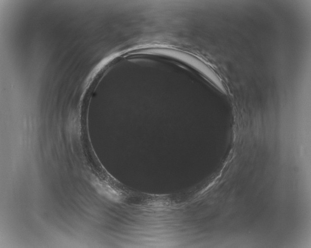 X0000081620200200701151440
