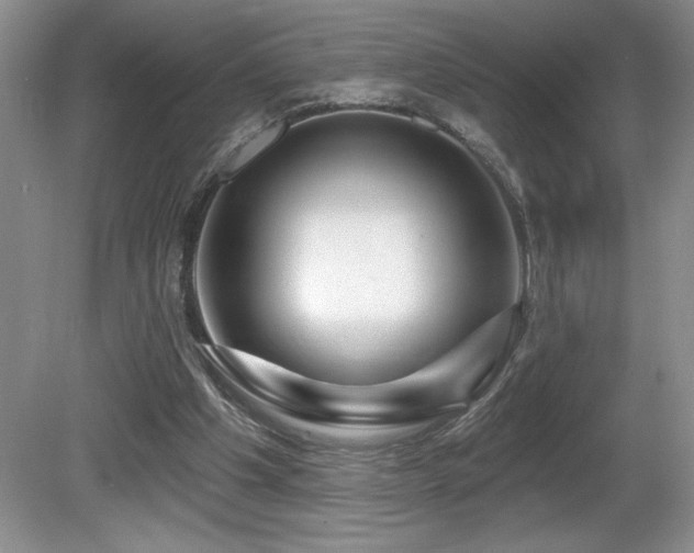 X0000081620201200701151440