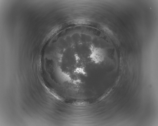 X0000081620202200701151440