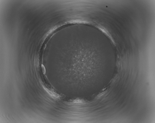 X0000081620204200701151440